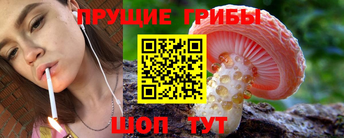 Псилоцибиновые грибы Magic Shrooms  Вход с VPN  Тулун 